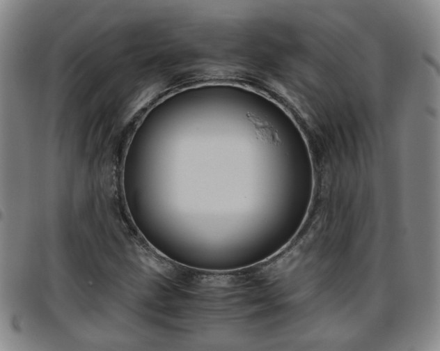 X0000096441211200801311421