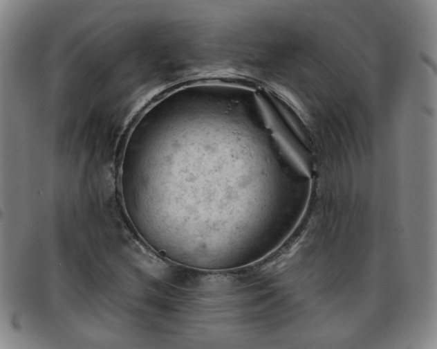 X0000096441212200801311421