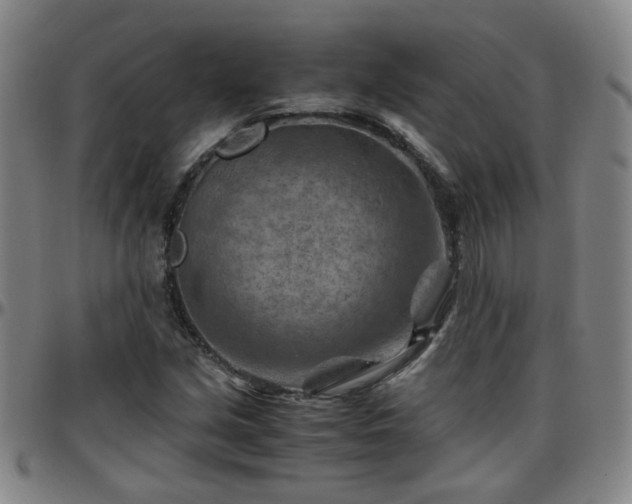 X0000096441213200801311421