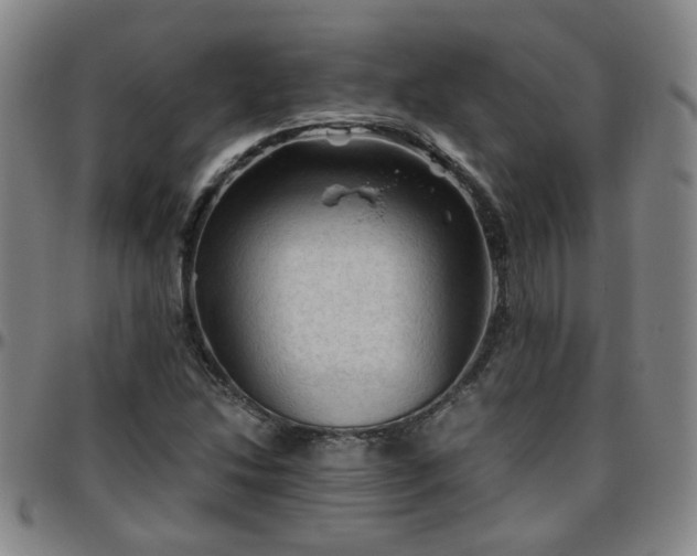 X0000096441214200801311421