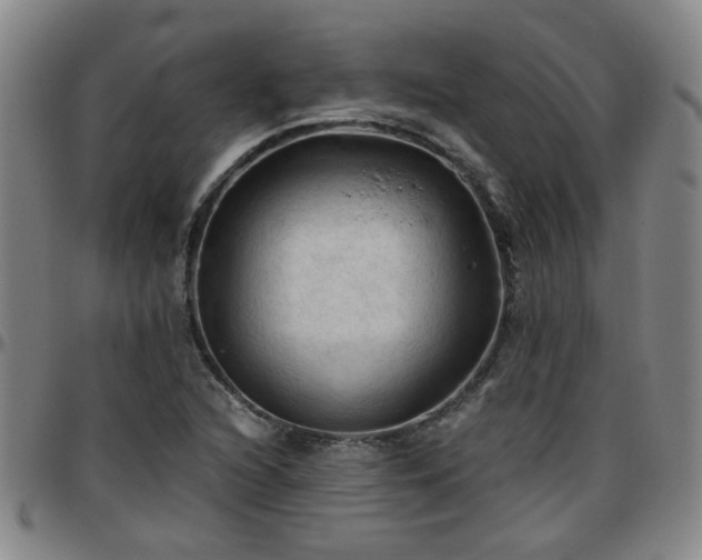 X0000096441216200801311421