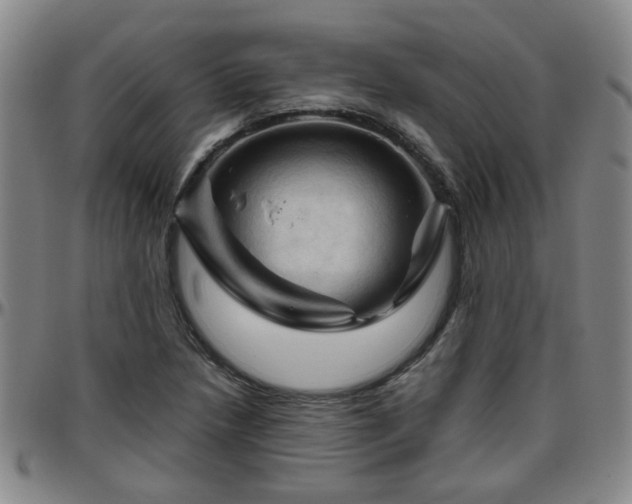 X0000096441218200801311421