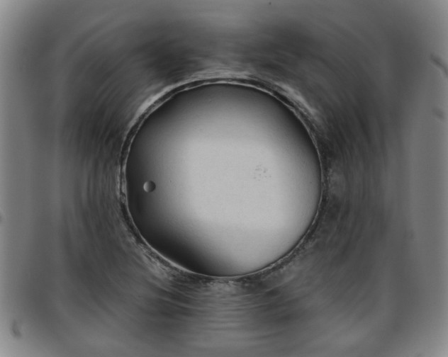 X0000096441220200801311421