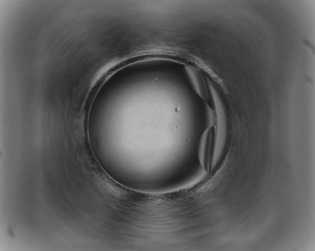 X0000096441222200801311421