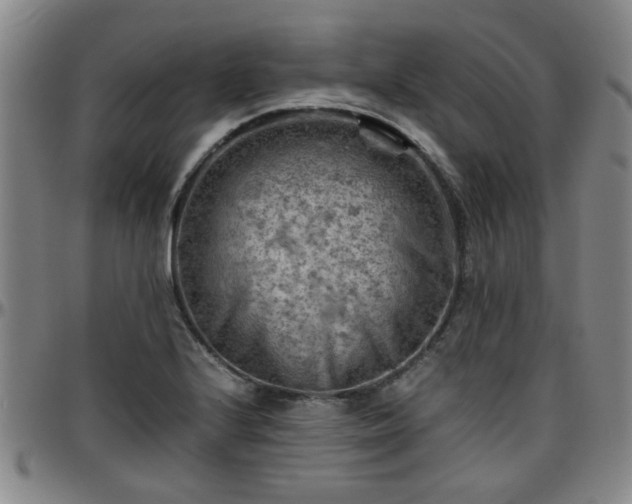 X0000096441224200801311421