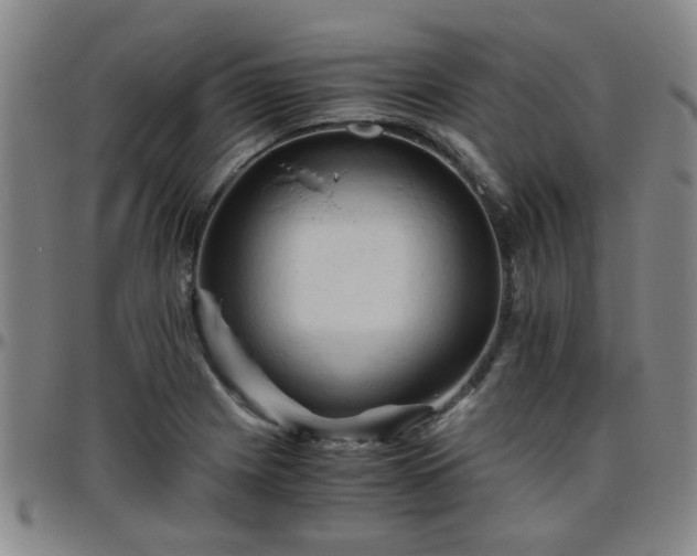 X0000096441225200801311422