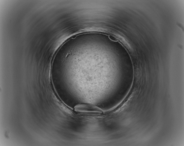 X0000096441228200801311422
