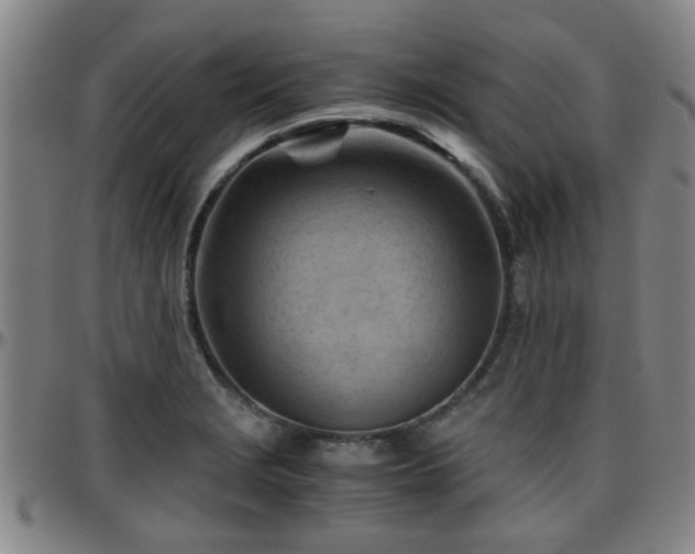 X0000096441229200801311422