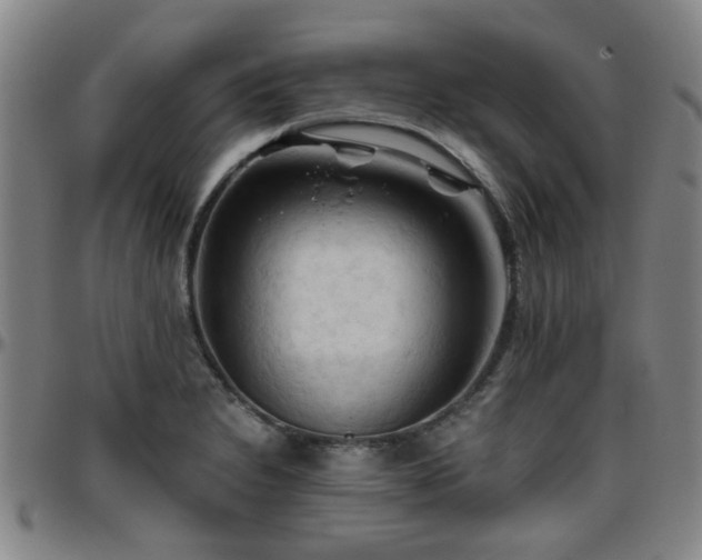 X0000096441230200801311422