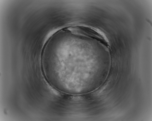 X0000096441231200801311422