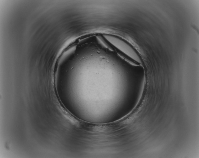 X0000096441232200801311422