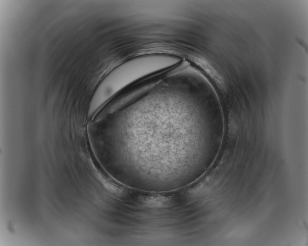 X0000096441233200801311422