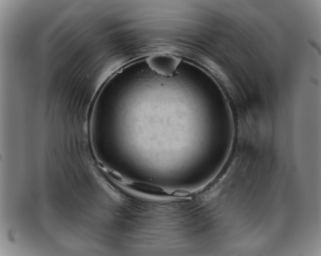 X0000096441234200801311422