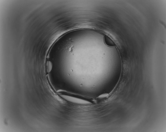 X0000096441236200801311422