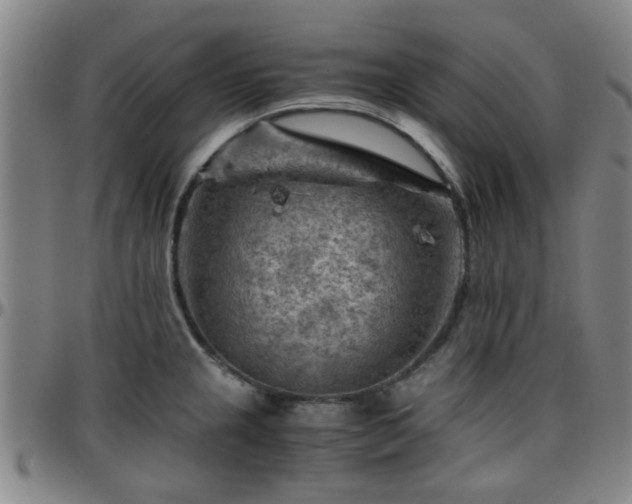 X0000096441237200801311422