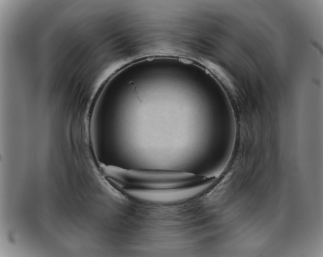 X0000096441238200801311422