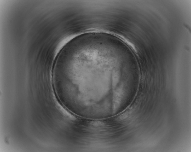 X0000096441239200801311422