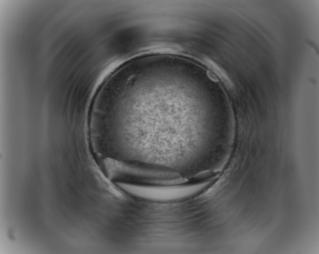 X0000096441240200801311422