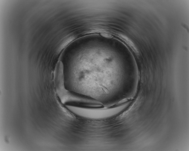 X0000096441241200801311422