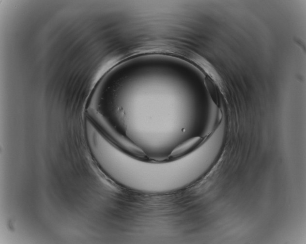 X0000096441242200801311422