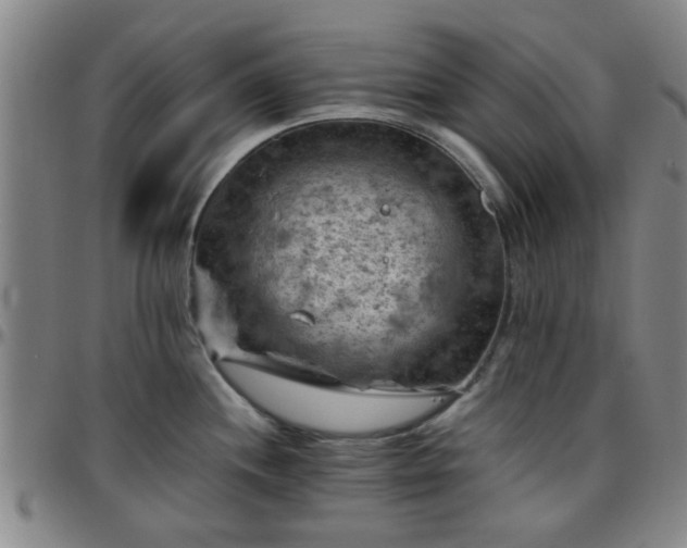 X0000096441244200801311422