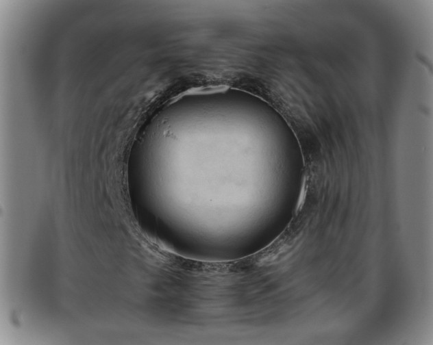 X0000096441249200801311421