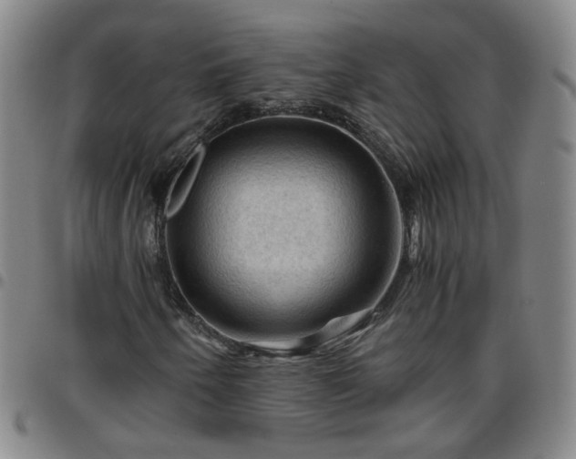 X0000096441250200801311421