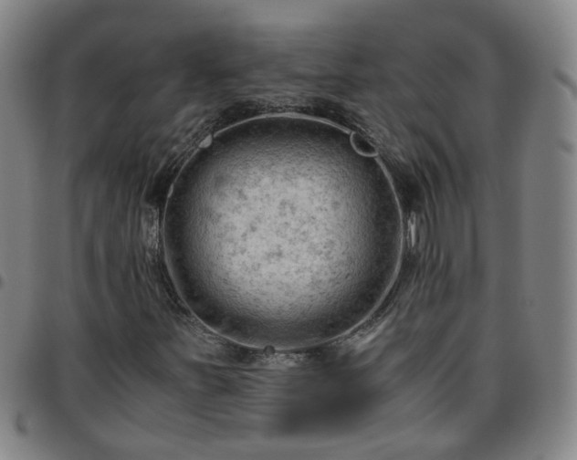 X0000096441251200801311421