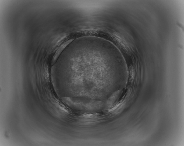 X0000096441252200801311421