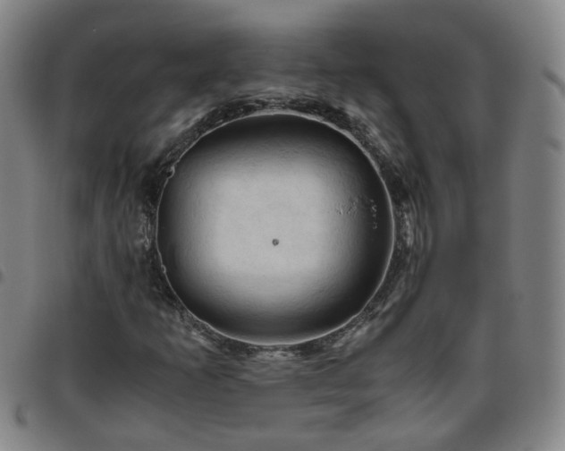 X0000096441253200801311421