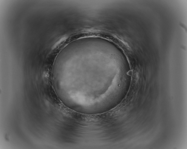 X0000096441254200801311421