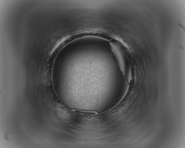 X0000096441256200801311421