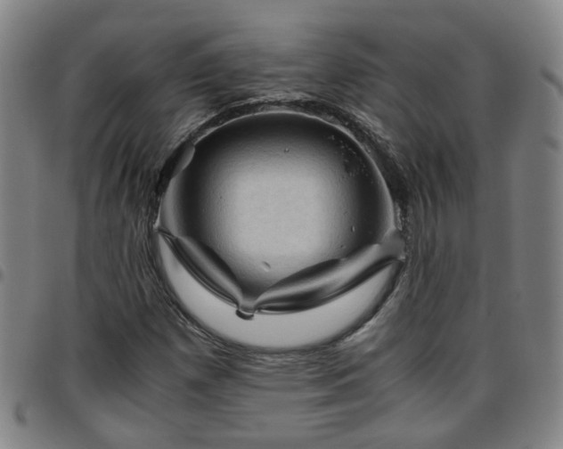 X0000096441257200801311421