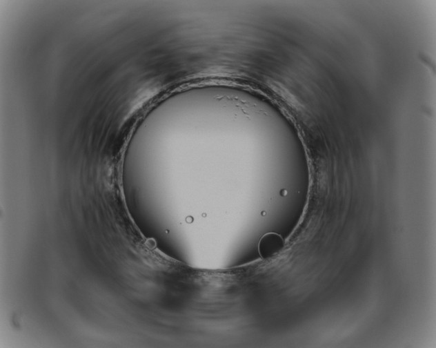X0000096441258200801311421