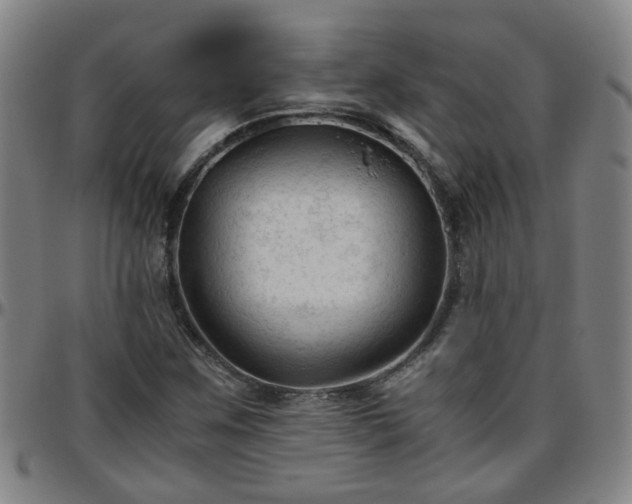 X0000096441259200801311421