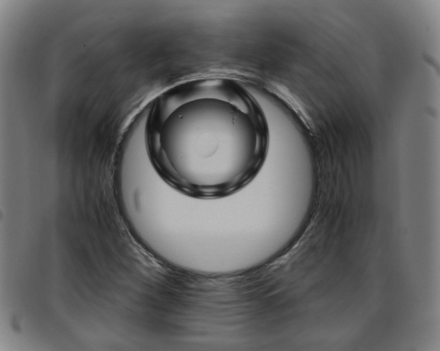 X0000096441260200801311421