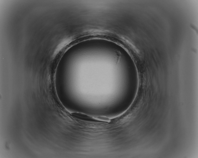 X0000096441261200801311421