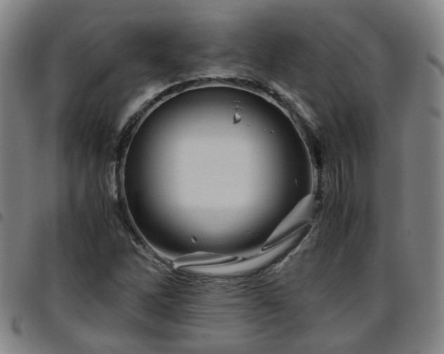X0000096441262200801311421
