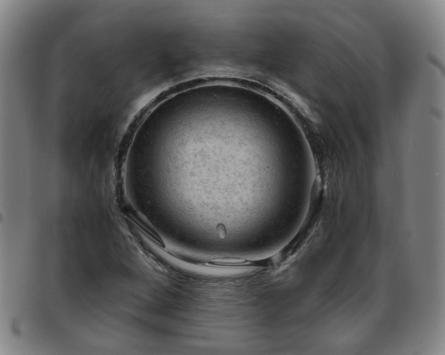 X0000096441264200801311421