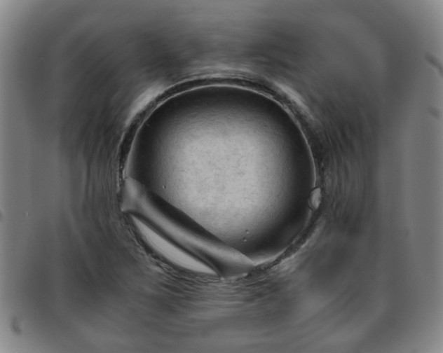 X0000096441267200801311421