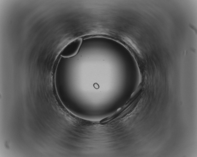 X0000096441268200801311421