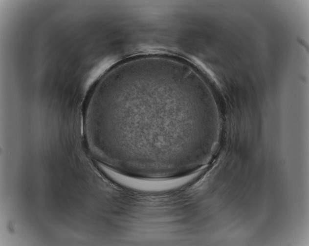 X0000096441269200801311421