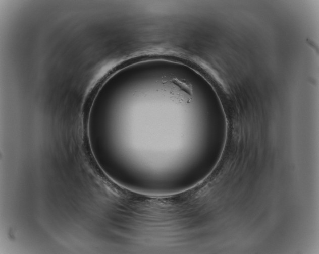X0000096441270200801311421