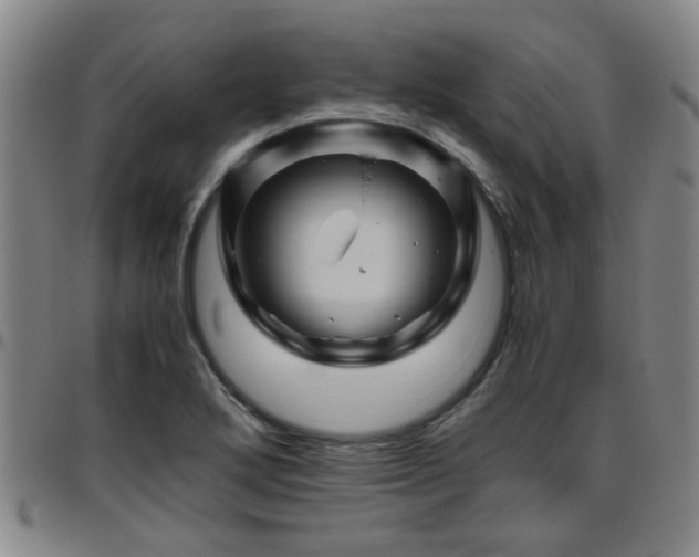 X0000096441272200801311421