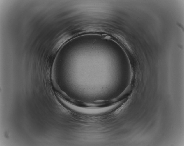 X0000096441273200801311421