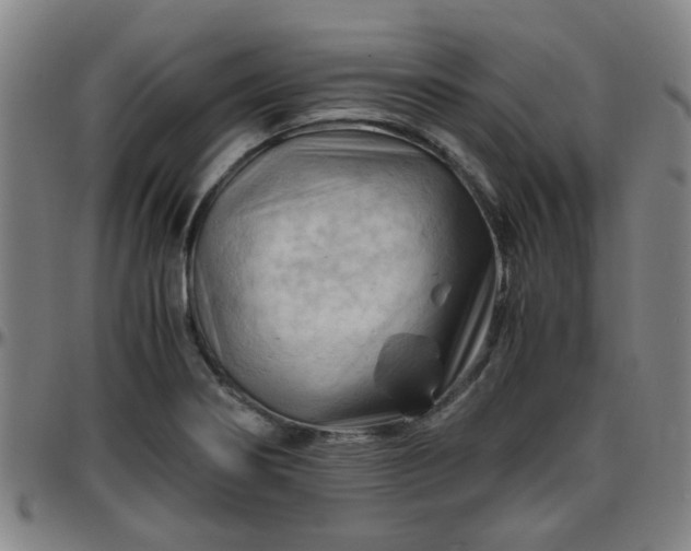 X0000096441274200801311421