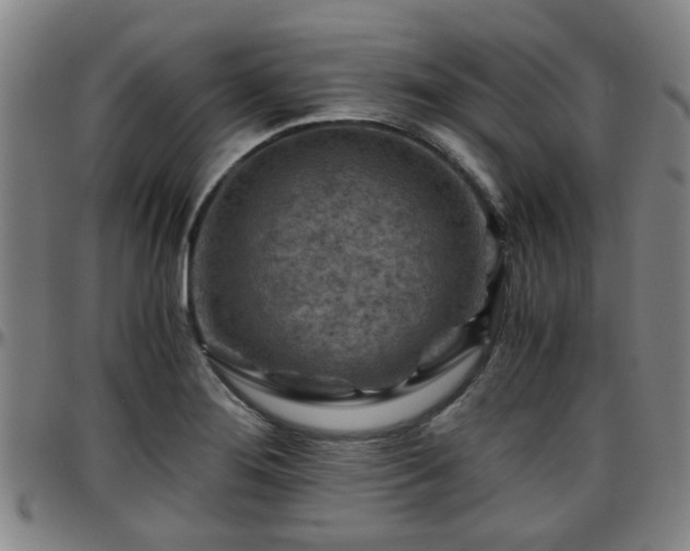 X0000096441276200801311421