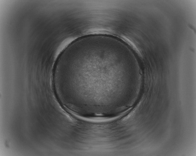 X0000096441277200801311421