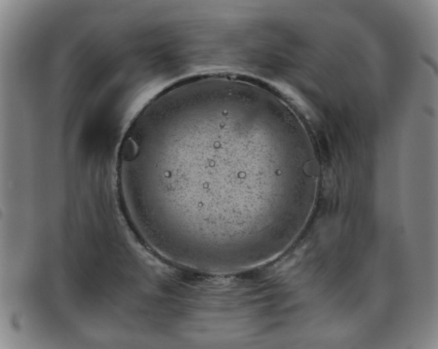 X0000096441279200801311421