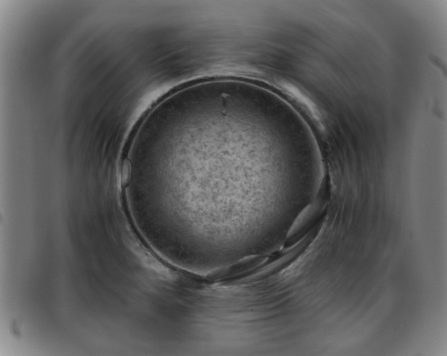 X0000096441280200801311421